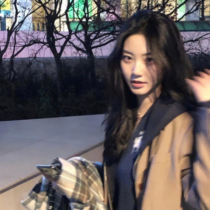 绿叶对根的情意